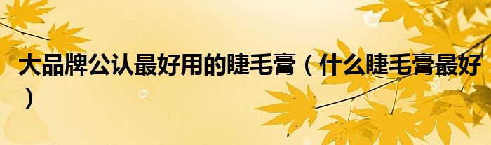 大品牌公认最好用的睫毛膏(什么睫毛膏最好)