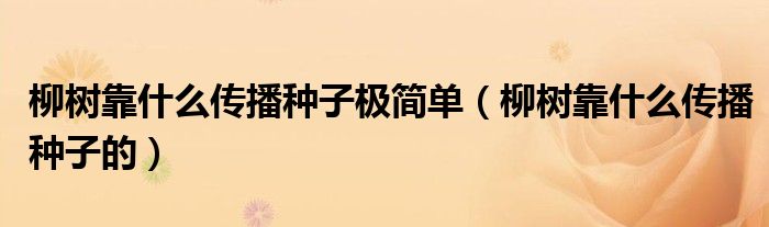 柳树靠什么传播种子极简单(柳树靠什么传播种子的)