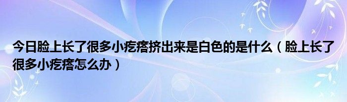今日脸上长了很多小疙瘩挤出来是白色的是什么(脸上长了很多小疙瘩怎么办)