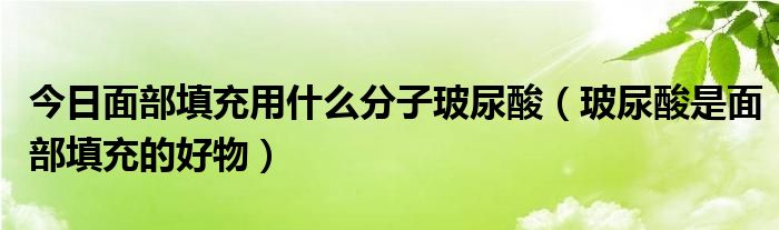 今日面部填充用什么分子玻尿酸(玻尿酸是面部填充的好物)