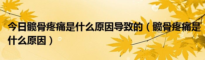 今日髋骨疼痛是什么原因导致的(髋骨疼痛是什么原因)