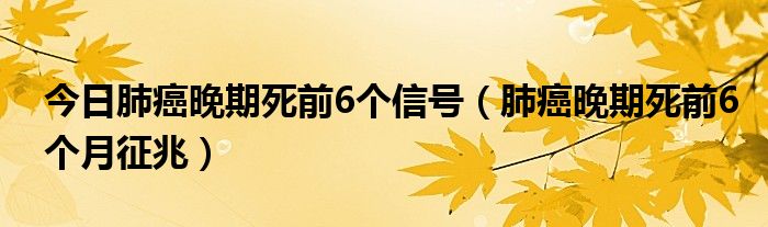 今日肺癌晚期死前6个信号(肺癌晚期死前6个月征兆)