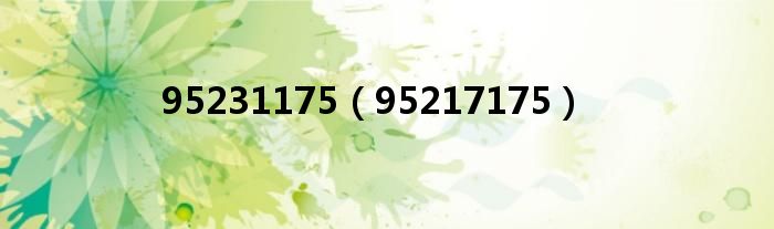 95231175(95217175)