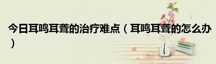 今日耳鸣耳聋的治疗难点(耳鸣耳聋的怎么办)