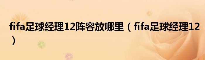 fifa足球经理12阵容放哪里(fifa足球经理12)