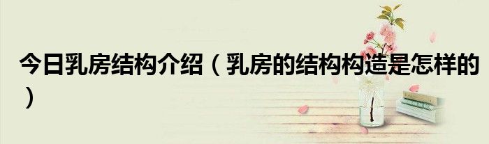 今日乳房结构介绍(乳房的结构构造是怎样的)