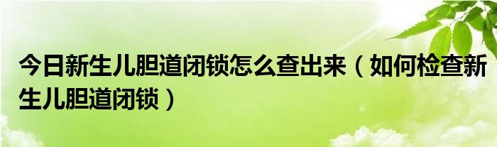 今日新生儿胆道闭锁怎么查出来(如何检查新生儿胆道闭锁)