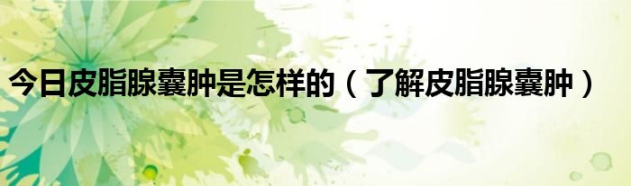 今日皮脂腺囊肿是怎样的(了解皮脂腺囊肿)