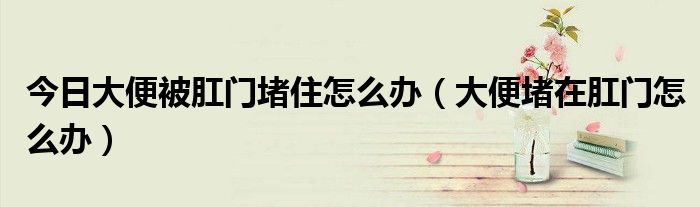今日大便被肛门堵住怎么办(大便堵在肛门怎么办)