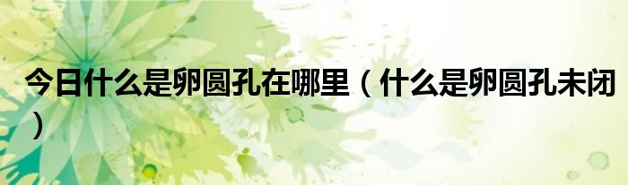 今日什么是卵圆孔在哪里(什么是卵圆孔未闭)