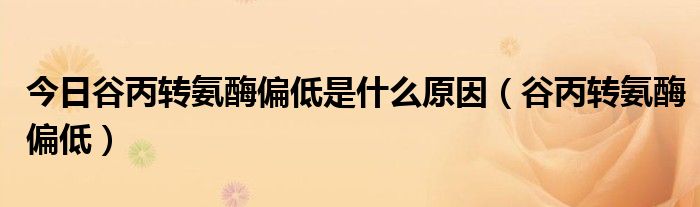 今日谷丙转氨酶偏低是什么原因(谷丙转氨酶偏低)
