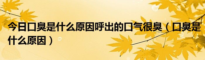 今日口臭是什么原因呼出的口气很臭(口臭是什么原因)