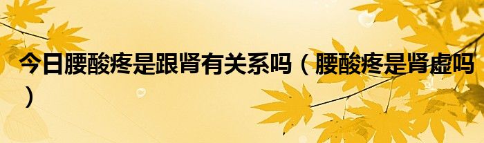 今日腰酸疼是跟肾有关系吗(腰酸疼是肾虚吗)