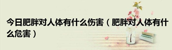 今日肥胖对人体有什么伤害(肥胖对人体有什么危害)