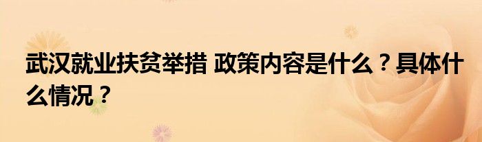 武汉就业扶贫举措 政策内容是什么?具体什么情况?