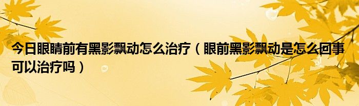 今日眼睛前有黑影飘动怎么治疗(眼前黑影飘动是怎么回事 可以治疗吗)