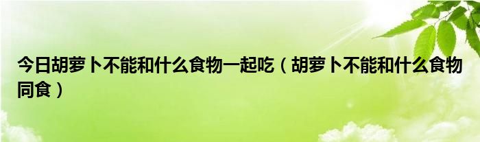 今日胡萝卜不能和什么食物一起吃(胡萝卜不能和什么食物同食)