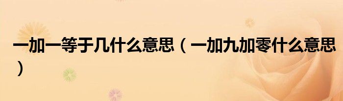一加一等于几什么意思(一加九加零什么意思)