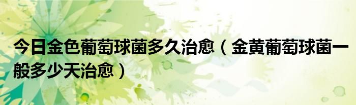 今日金色葡萄球菌多久治愈(金黄葡萄球菌一般多少天治愈)