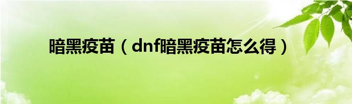 暗黑疫苗(dnf暗黑疫苗怎么得)