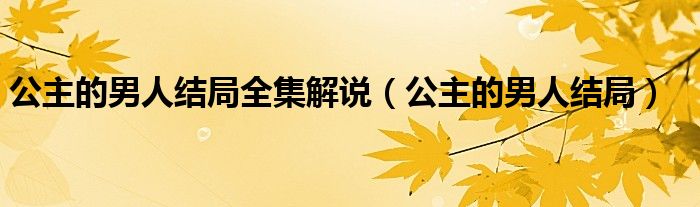 公主的男人结局全集解说(公主的男人结局)