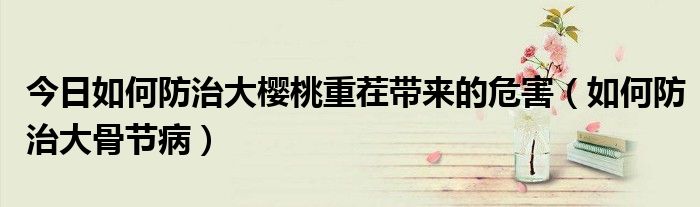 今日如何防治大樱桃重茬带来的危害(如何防治大骨节病)