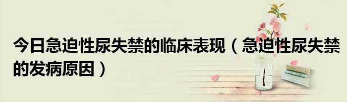 今日急迫性尿失禁的临床表现(急迫性尿失禁的发病原因)
