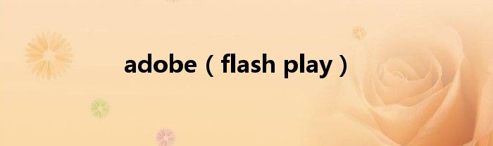 adobe(flash play)