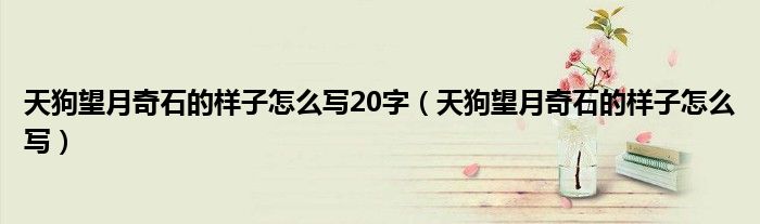 天狗望月奇石的样子怎么写20字(天狗望月奇石的样子怎么写)