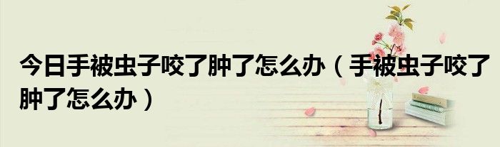今日手被虫子咬了肿了怎么办(手被虫子咬了肿了怎么办)