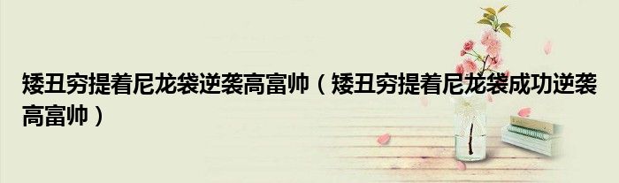 矮丑穷提着尼龙袋逆袭高富帅(矮丑穷提着尼龙袋成功逆袭高富帅)