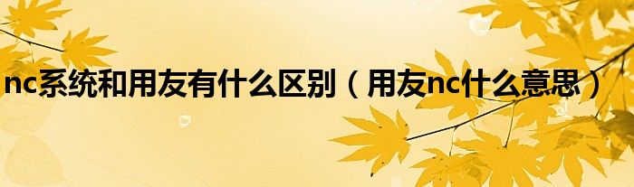 nc系统和用友有什么区别(用友nc什么意思)