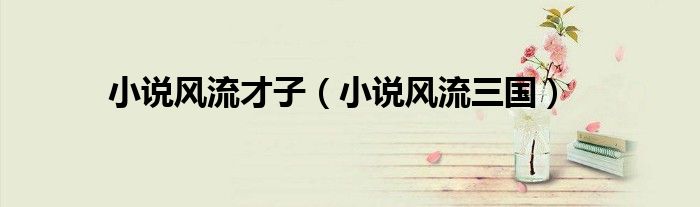 小说风流才子(小说风流三国)