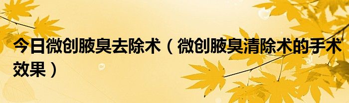 今日微创腋臭去除术(微创腋臭清除术的手术效果)