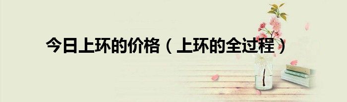 今日上环的价格(上环的全过程)