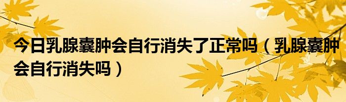 今日乳腺囊肿会自行消失了正常吗(乳腺囊肿会自行消失吗)