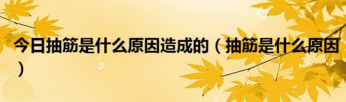 今日抽筋是什么原因造成的(抽筋是什么原因)