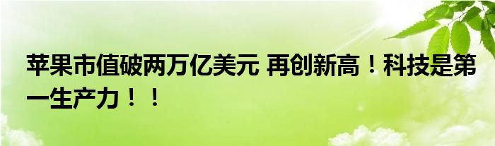 苹果市值破两万亿美元 再创新高!科技是第一生产力!!