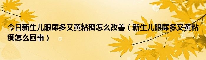 今日新生儿眼屎多又黄粘稠怎么改善(新生儿眼屎多又黄粘稠怎么回事)