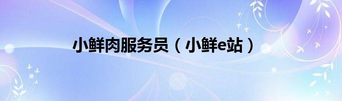 小鲜肉服务员（小鲜e站）