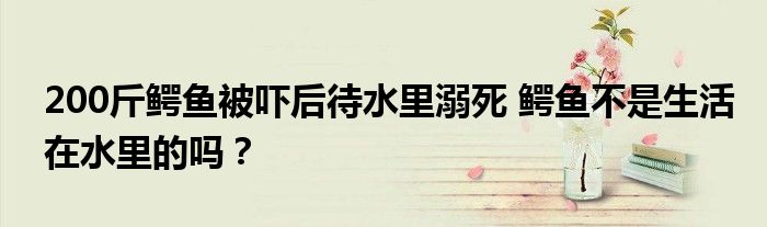200斤鳄鱼被吓后待水里溺死 鳄鱼不是生活在水里的吗?