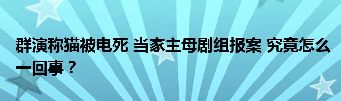 群演称猫被电死 当家主母剧组报案 究竟怎么一回事?