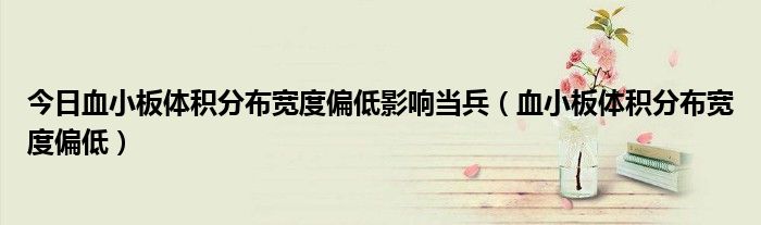 今日血小板体积分布宽度偏低影响当兵(血小板体积分布宽度偏低)