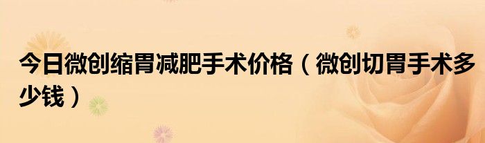 今日微创缩胃减肥手术价格(微创切胃手术多少钱)