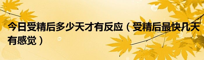 今日受精后多少天才有反应(受精后最快几天有感觉)