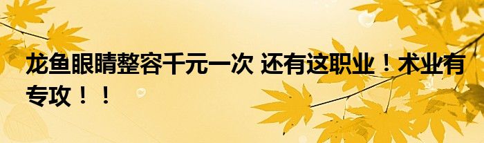 龙鱼眼睛整容千元一次 还有这职业!术业有专攻!!