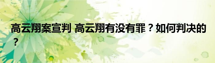 高云翔案宣判 高云翔有没有罪?如何判决的?