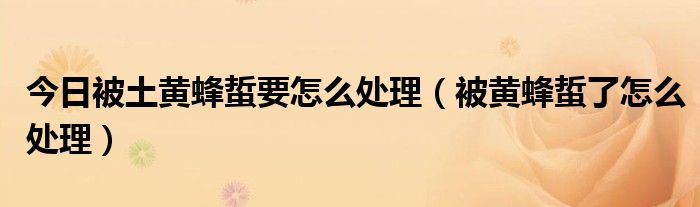 今日被土黄蜂蜇要怎么处理(被黄蜂蜇了怎么处理)