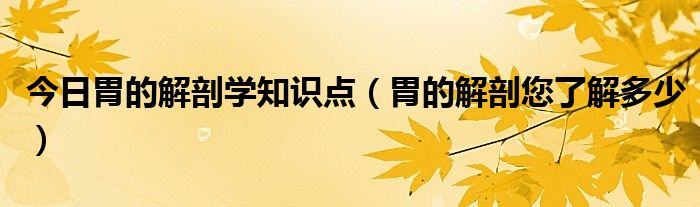 今日胃的解剖学知识点(胃的解剖您了解多少)