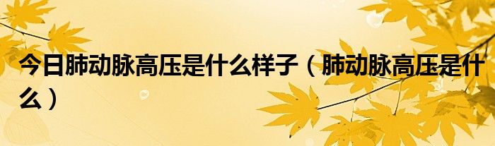 今日肺动脉高压是什么样子(肺动脉高压是什么)